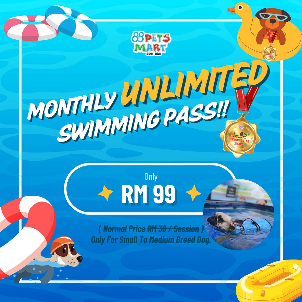 Good News! Fur Kid Unlimited Swimming Pass PJ @RM99 Only!